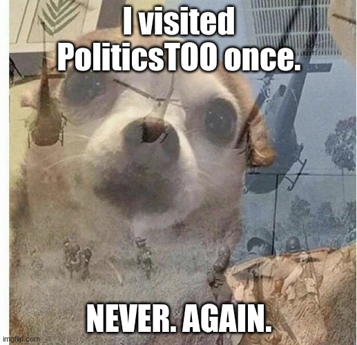 PTSD Chihuahua | I visited PoliticsTOO once. NEVER. AGAIN. | image tagged in ptsd chihuahua | made w/ Imgflip meme maker