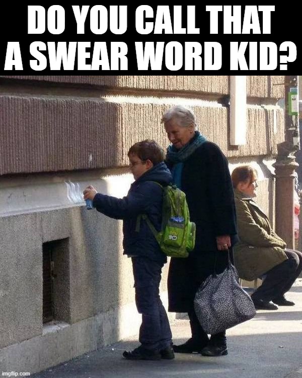 DO YOU CALL THAT A SWEAR WORD KID? | image tagged in grandma | made w/ Imgflip meme maker