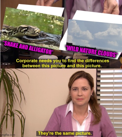 -Two friends in wild surroundings. | *SNAKE AND ALLIGATOR*; *WILD NATURE CLOUDS* | image tagged in memes,they're the same picture,snakes on a plane,alligator,totally looks like,so true memes | made w/ Imgflip meme maker