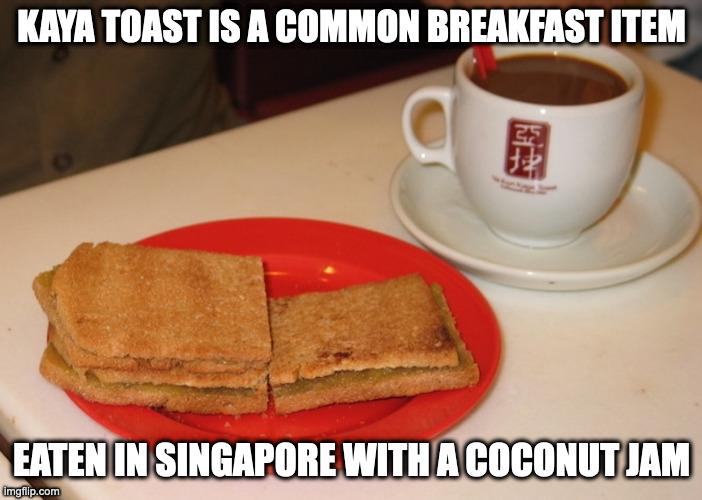 Kaya Toast | KAYA TOAST IS A COMMON BREAKFAST ITEM; EATEN IN SINGAPORE WITH A COCONUT JAM | image tagged in toast,food,memes | made w/ Imgflip meme maker