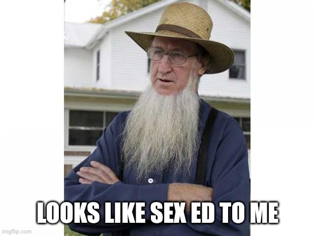 Amish Style | LOOKS LIKE SEX ED TO ME | image tagged in amish style | made w/ Imgflip meme maker