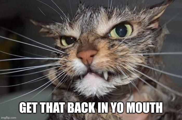 Angry Mad Cat | GET THAT BACK IN YO MOUTH | image tagged in angry mad cat | made w/ Imgflip meme maker