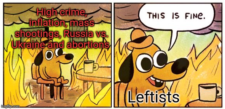 This Is Fine |  High crime, inflation, mass shootings, Russia vs. Ukraine and abortions; Leftists | image tagged in memes,this is fine,politics | made w/ Imgflip meme maker