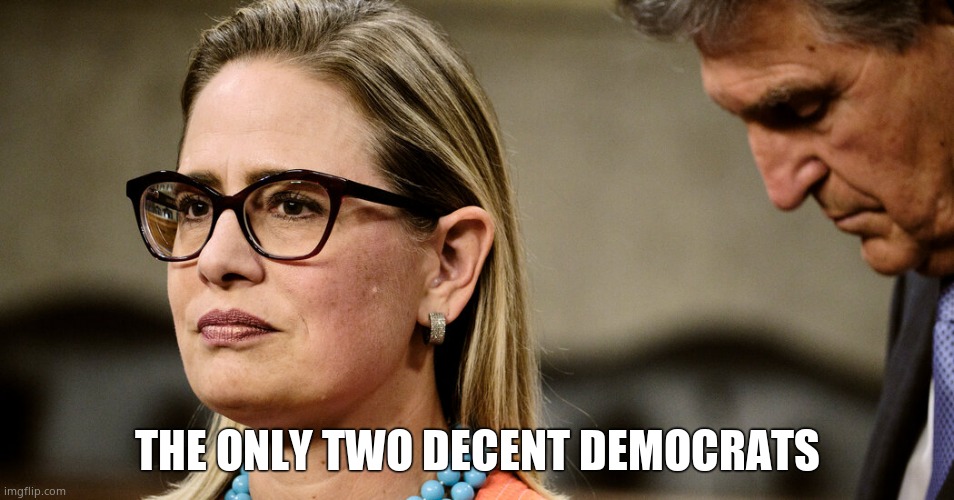 The only two to stand up to madness | THE ONLY TWO DECENT DEMOCRATS | image tagged in manchin sinema | made w/ Imgflip meme maker