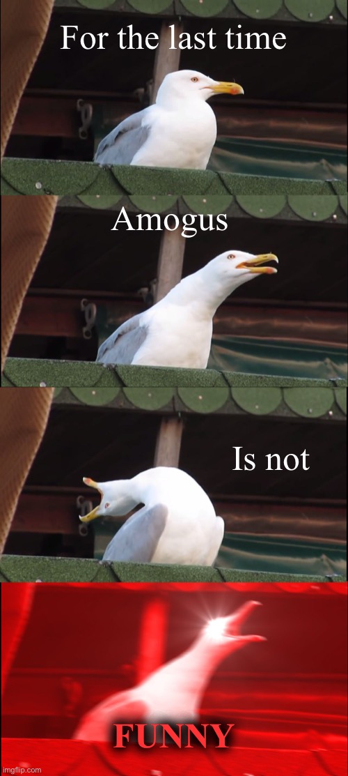 Stupid amogus | For the last time; Amogus; Is not; FUNNY | image tagged in memes,inhaling seagull | made w/ Imgflip meme maker