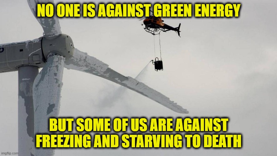 Cold and Hungry |  NO ONE IS AGAINST GREEN ENERGY; BUT SOME OF US ARE AGAINST FREEZING AND STARVING TO DEATH | image tagged in renewable energy | made w/ Imgflip meme maker