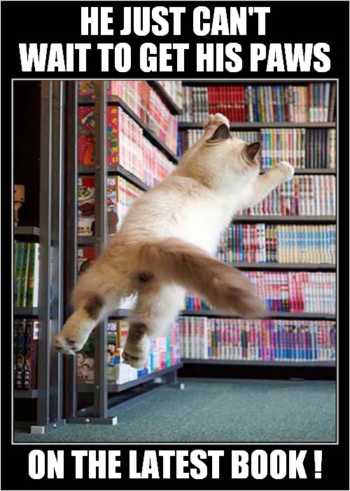 This Cat Is An Avid Reader ! | HE JUST CAN'T WAIT TO GET HIS PAWS; ON THE LATEST BOOK ! | image tagged in cats,reading,library,books,impatience | made w/ Imgflip meme maker