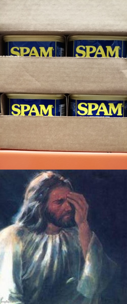 Hey, you want some spam? | image tagged in jesus facepalm,you had one job,design fails | made w/ Imgflip meme maker