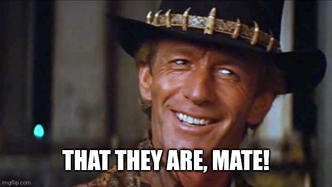 Crocodile Dundee | THAT THEY ARE, MATE! | image tagged in crocodile dundee | made w/ Imgflip meme maker