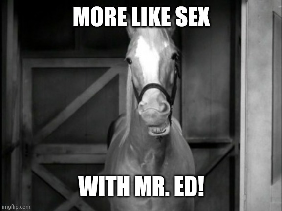 Mr. Ed | MORE LIKE SEX WITH MR. ED! | image tagged in mr ed | made w/ Imgflip meme maker