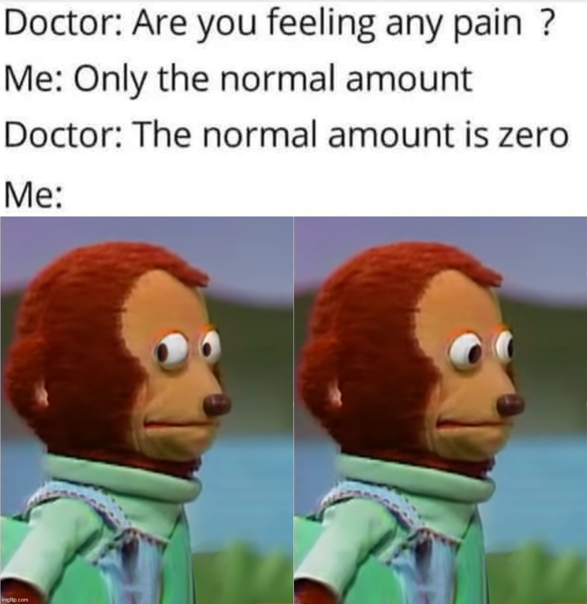 Never specified physical or mental pain | image tagged in puppet monkey looking away,pain | made w/ Imgflip meme maker