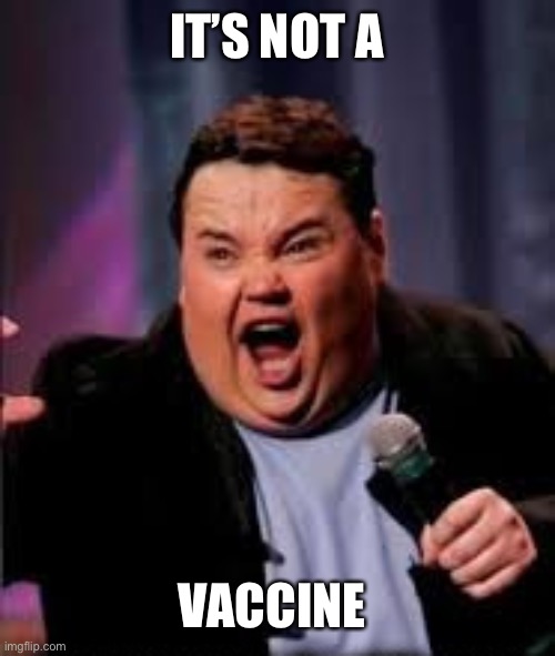 Nay nay | IT’S NOT A VACCINE | image tagged in nay nay | made w/ Imgflip meme maker