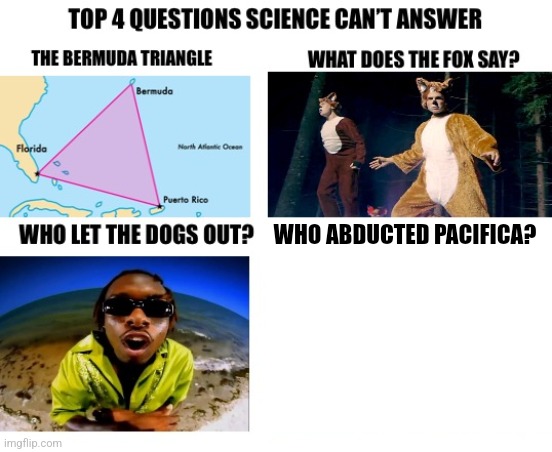 top 4 questions | WHO ABDUCTED PACIFICA? | image tagged in top 4 questions,credit to dontreadme,based off my rp with legend | made w/ Imgflip meme maker