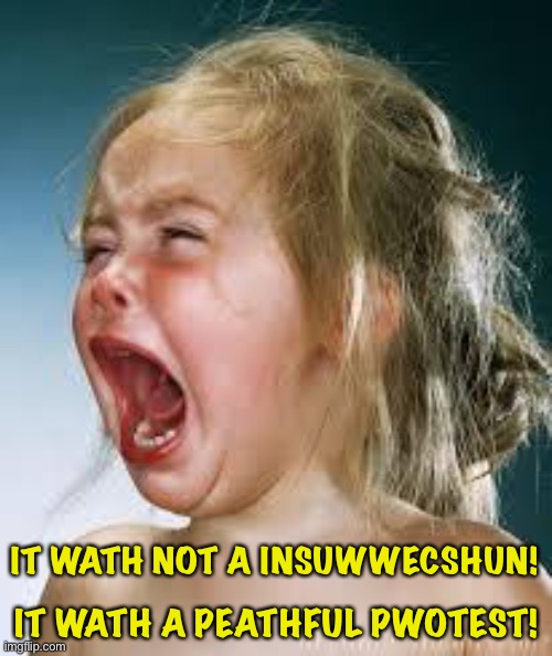 Crying Baby | IT WATH NOT A INSUWWECSHUN! IT WATH A PEATHFUL PWOTEST! | image tagged in crying baby | made w/ Imgflip meme maker