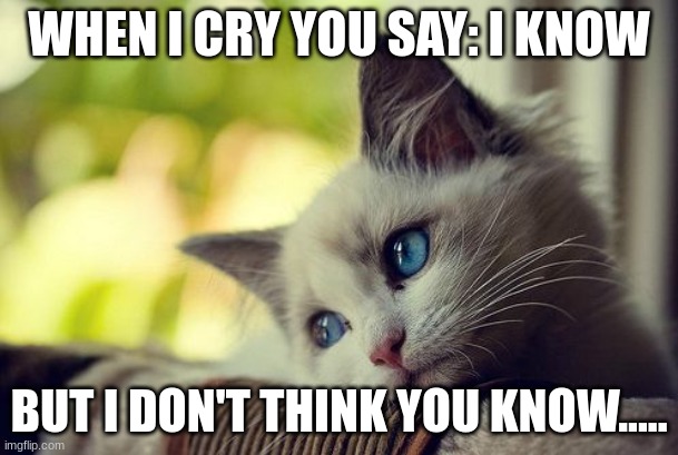 First World Problems Cat Meme | WHEN I CRY YOU SAY: I KNOW; BUT I DON'T THINK YOU KNOW..... | image tagged in memes,first world problems cat | made w/ Imgflip meme maker