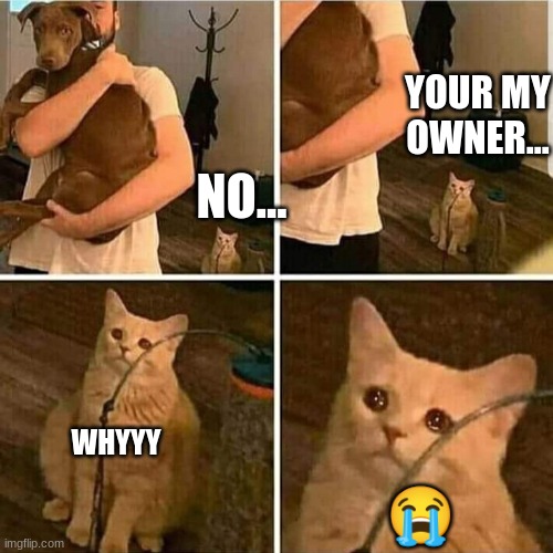 waaaaa |  YOUR MY OWNER... NO... WHYYY; 😭 | image tagged in sad cat holding dog | made w/ Imgflip meme maker