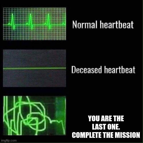 Heart beat meme | YOU ARE THE LAST ONE. COMPLETE THE MISSION | image tagged in heart beat meme | made w/ Imgflip meme maker