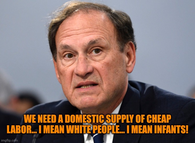 Alito | WE NEED A DOMESTIC SUPPLY OF CHEAP LABOR... I MEAN WHITE PEOPLE... I MEAN INFANTS! | image tagged in alito | made w/ Imgflip meme maker