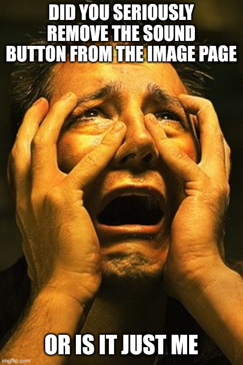 Terrified hopeless | DID YOU SERIOUSLY REMOVE THE SOUND BUTTON FROM THE IMAGE PAGE; OR IS IT JUST ME | image tagged in terrified hopeless | made w/ Imgflip meme maker