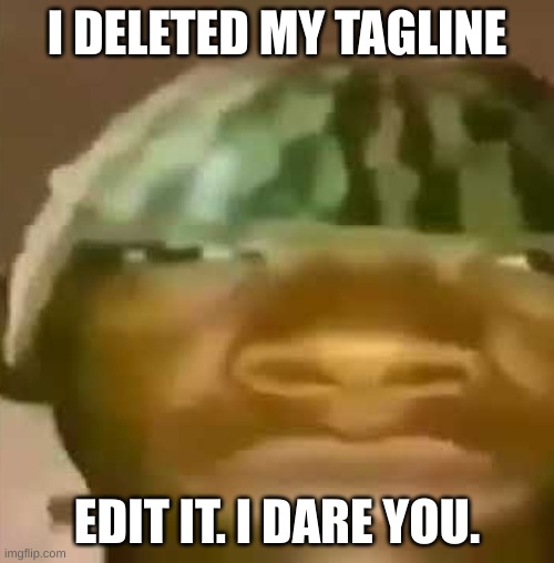 shitpost | I DELETED MY TAGLINE; EDIT IT. I DARE YOU. | image tagged in shitpost | made w/ Imgflip meme maker