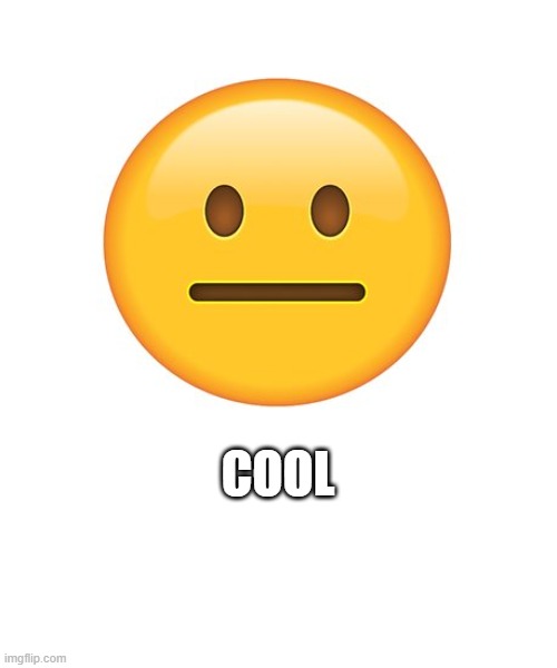 Straight Face | COOL | image tagged in straight face | made w/ Imgflip meme maker