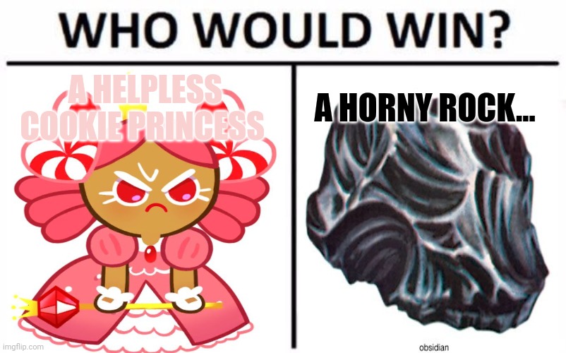 Stop it. Get some help. | A HELPLESS COOKIE PRINCESS A HORNY ROCK... | image tagged in memes,who would win,stop it get some help,obsidian | made w/ Imgflip meme maker