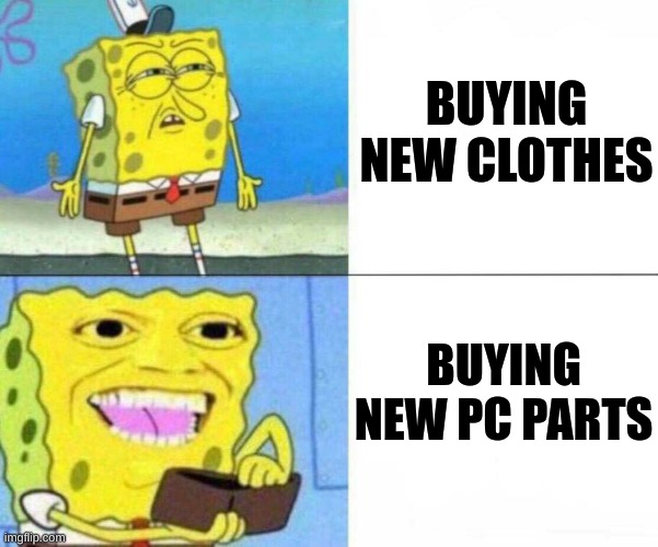 BUYING NEW CLOTHES; BUYING NEW PC PARTS | image tagged in meme | made w/ Imgflip meme maker