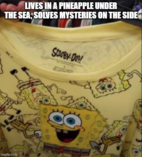 Spongy Spongy Doo, Where Are You? | LIVES IN A PINEAPPLE UNDER THE SEA, SOLVES MYSTERIES ON THE SIDE | image tagged in you had one job | made w/ Imgflip meme maker