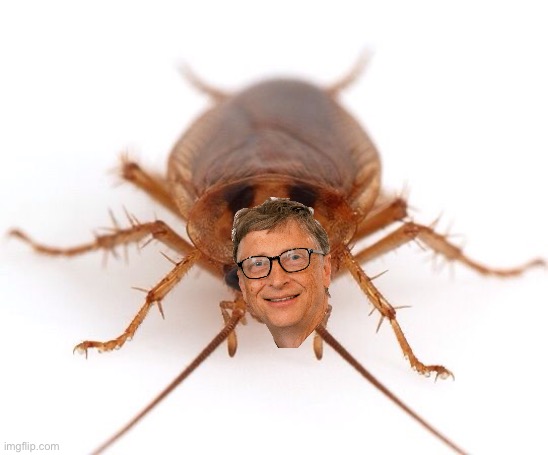 Roach | image tagged in roach | made w/ Imgflip meme maker