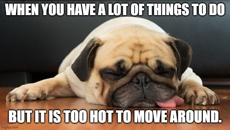 Dog tired | WHEN YOU HAVE A LOT OF THINGS TO DO; BUT IT IS TOO HOT TO MOVE AROUND. | image tagged in dog tired | made w/ Imgflip meme maker
