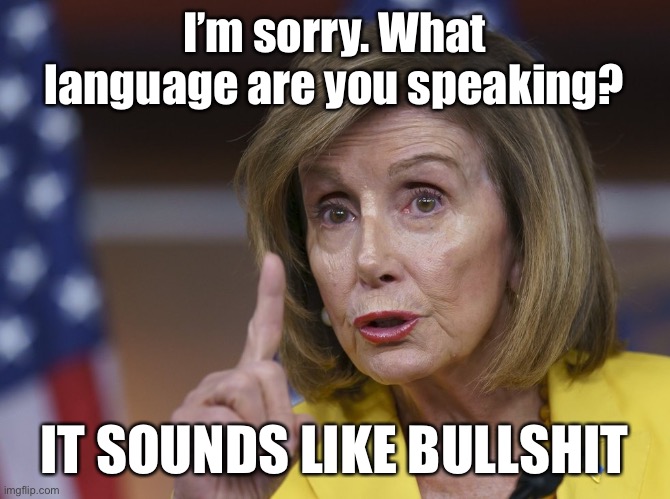 Nancy Pelosi | I’m sorry. What language are you speaking? IT SOUNDS LIKE BULLSHIT | image tagged in nancy pelosi,what language,are you speaking,sounds like bullshit,ugly nancy,politics | made w/ Imgflip meme maker