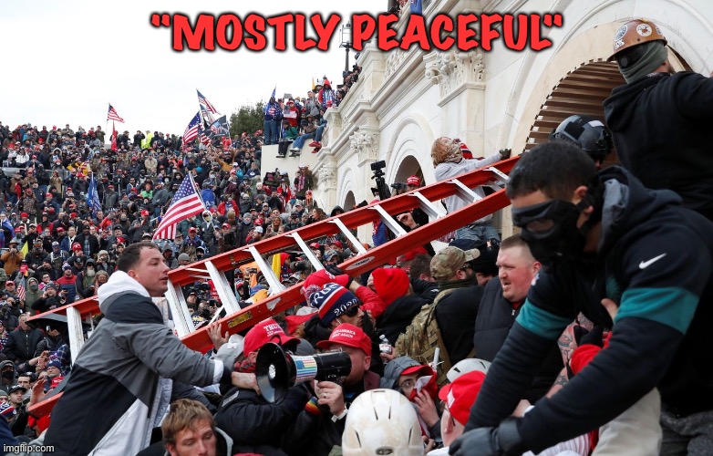 Qanon - Insurrection - Trump riot - sedition | "MOSTLY PEACEFUL" | image tagged in qanon - insurrection - trump riot - sedition | made w/ Imgflip meme maker