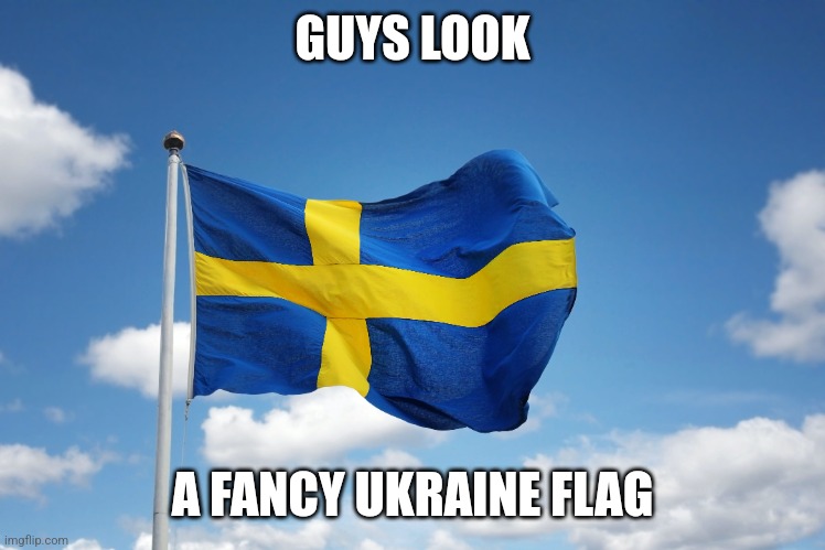 This is a joke I know it's the swedish flag |  GUYS LOOK; A FANCY UKRAINE FLAG | image tagged in flag | made w/ Imgflip meme maker