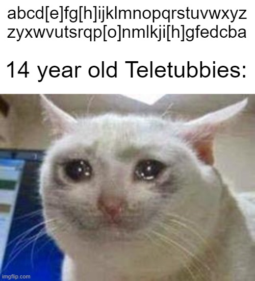 teletubbies | abcd[e]fg[h]ijklmnopqrstuvwxyz
zyxwvutsrqp[o]nmlkji[h]gfedcba; 14 year old Teletubbies: | image tagged in sad cat | made w/ Imgflip meme maker