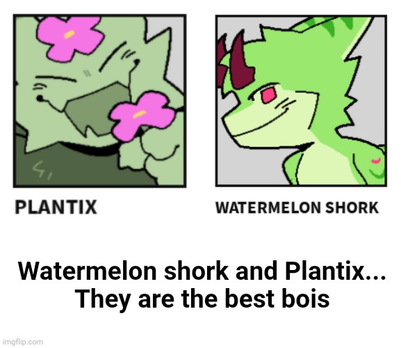 Watermelon shork and Plantix...
They are the best bois | image tagged in memes,blank transparent square | made w/ Imgflip meme maker