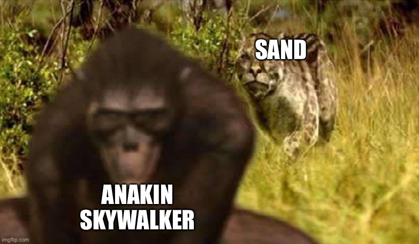 It’s coarse, rough, irritating, and it gets everywhere. | ANAKIN SKYWALKER; SAND | image tagged in dinofelis sneaks on australopithecus | made w/ Imgflip meme maker