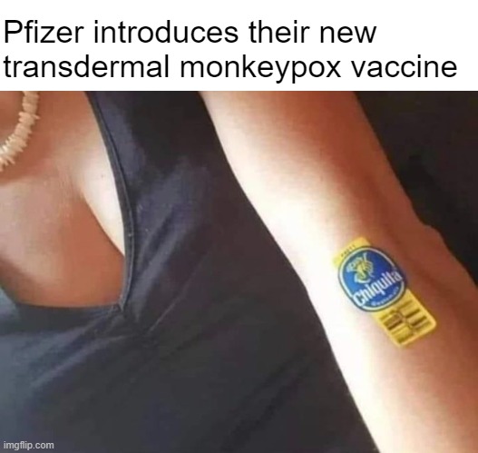 So go ahead and hit that bathhouse! | Pfizer introduces their new 
transdermal monkeypox vaccine | made w/ Imgflip meme maker