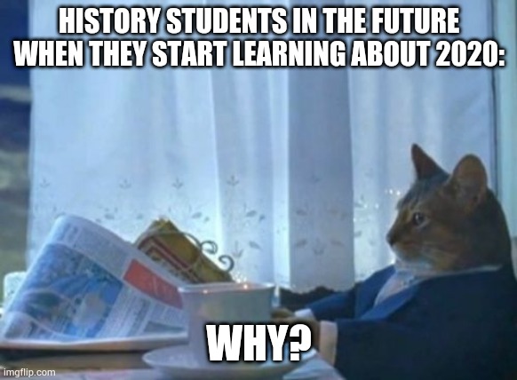 I Should Buy A Boat Cat |  HISTORY STUDENTS IN THE FUTURE WHEN THEY START LEARNING ABOUT 2020:; WHY? | image tagged in memes,i should buy a boat cat | made w/ Imgflip meme maker