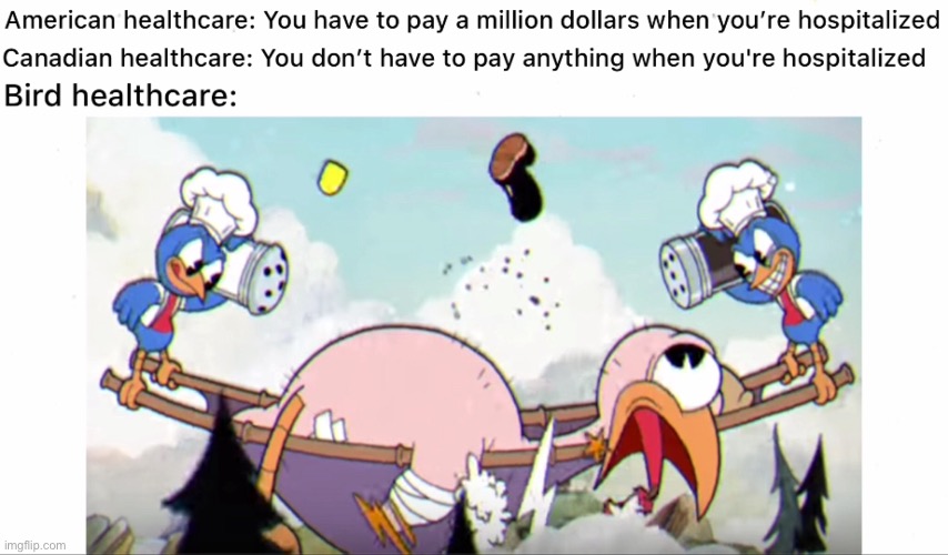 You pay with yourself! | image tagged in funny,memes,relatable,video games,cuphead,healthcare | made w/ Imgflip meme maker