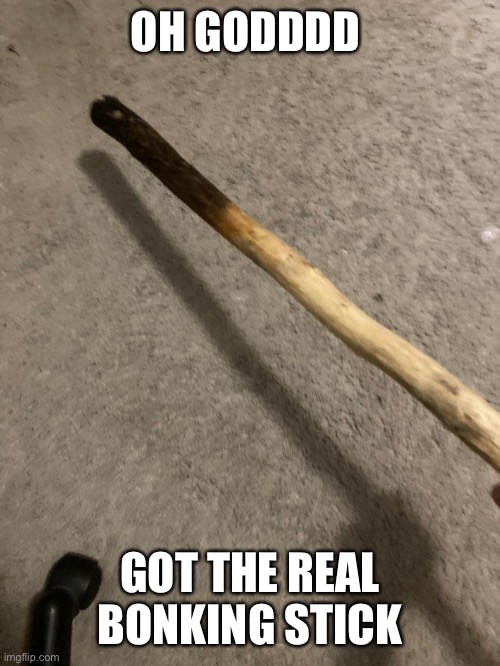 OH GODDDD; GOT THE REAL BONKING STICK | made w/ Imgflip meme maker