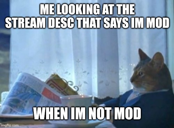grrrrr | ME LOOKING AT THE STREAM DESC THAT SAYS IM MOD; WHEN IM NOT MOD | made w/ Imgflip meme maker