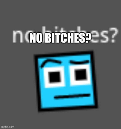 No bitches? | NO BITCHES? | image tagged in megamind no bitches | made w/ Imgflip meme maker