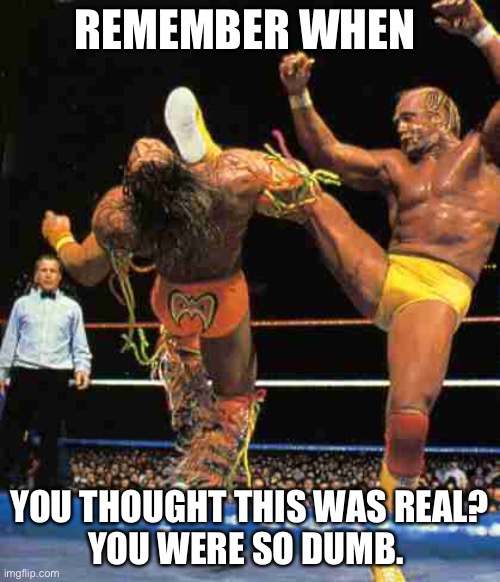  REMEMBER WHEN; YOU THOUGHT THIS WAS REAL?
YOU WERE SO DUMB. | image tagged in hulk hogan | made w/ Imgflip meme maker