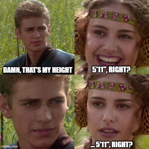 Anakin Padme 4 Panel | DAMN, THAT'S MY HEIGHT; 5'11", RIGHT? ... 5'11", RIGHT? | image tagged in anakin padme 4 panel | made w/ Imgflip meme maker
