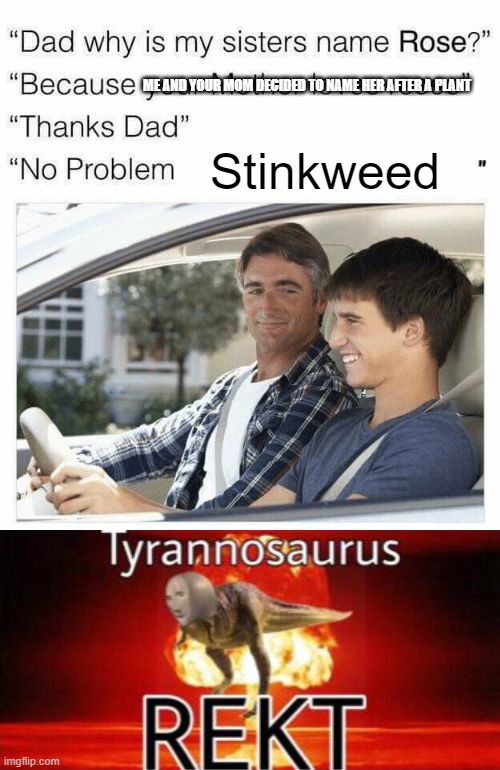 That hurts! |  ME AND YOUR MOM DECIDED TO NAME HER AFTER A PLANT; Stinkweed | image tagged in why is my sister's name rose,tyrannosaurus rekt | made w/ Imgflip meme maker