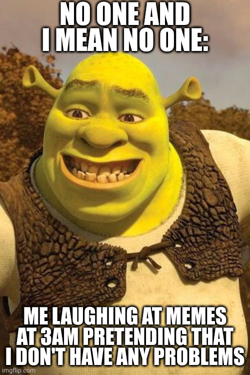 Shrek is good... | NO ONE AND I MEAN NO ONE:; ME LAUGHING AT MEMES AT 3AM PRETENDING THAT I DON'T HAVE ANY PROBLEMS | image tagged in smiling shrek | made w/ Imgflip meme maker