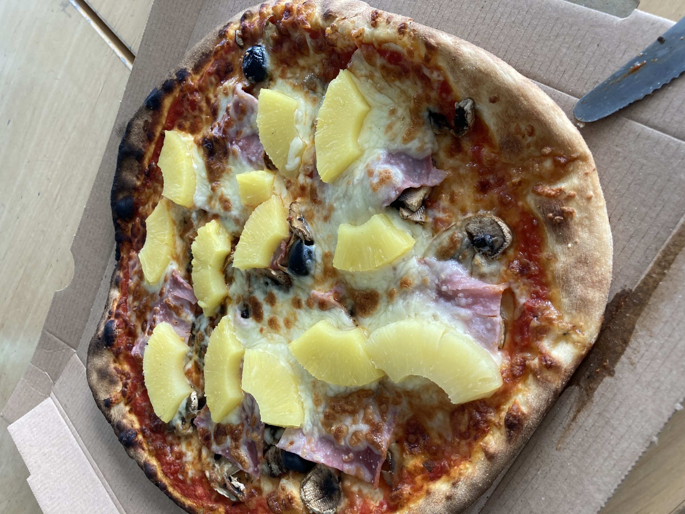 Pineapple pizza Blank Meme Template