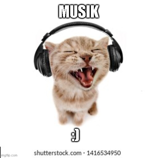 kity :) | MUSIK; :) | image tagged in cat headphone | made w/ Imgflip meme maker