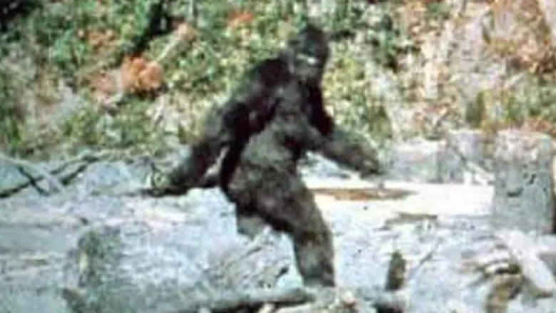 High Quality Bigfoot Blank Meme Template