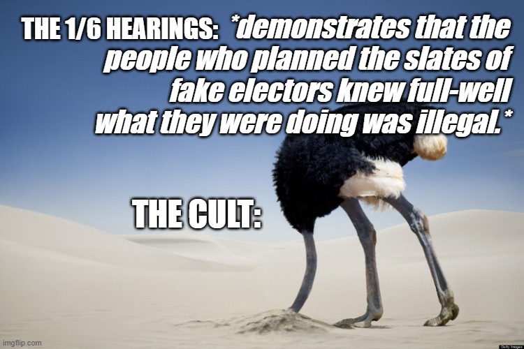 Ostrich head in sand | *demonstrates that the people who planned the slates of fake electors knew full-well what they were doing was illegal.*; THE 1/6 HEARINGS:; THE CULT: | image tagged in ostrich head in sand | made w/ Imgflip meme maker